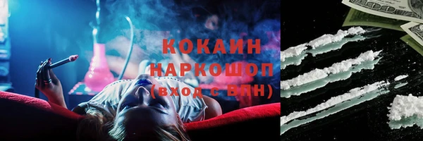 сатива Тольятти