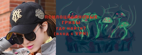 сатива Тольятти