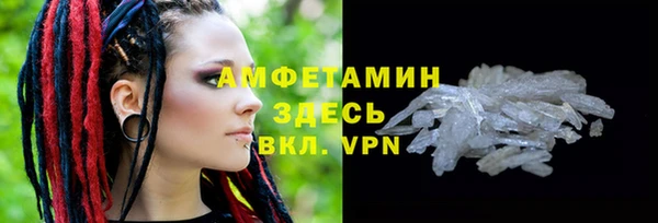 сатива Тольятти