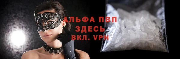 сатива Тольятти