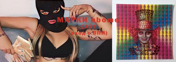 сатива Тольятти