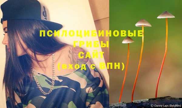 сатива Тольятти